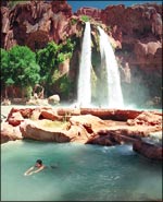 havasu_falls.jpg