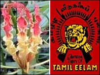 tamil.jpg